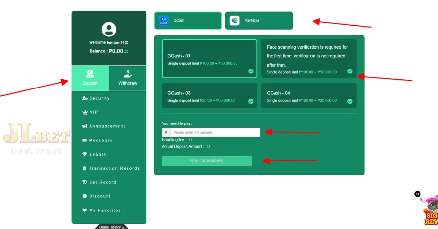 Choose payment method and enter amount of money to deposit